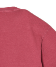 画像をギャラリービューアに読み込む, "CS" PAISLY LOGO TEE