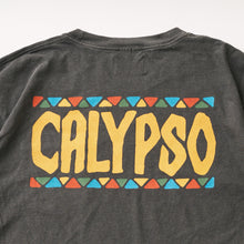 画像をギャラリービューアに読み込む, Brand Souvenir Pocket Tee