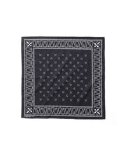 画像をギャラリービューアに読み込む, CROSS BANDANA