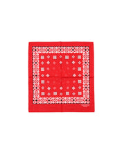 画像をギャラリービューアに読み込む, BANDANA