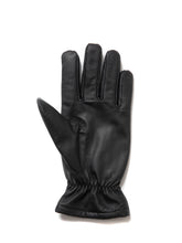 画像をギャラリービューアに読み込む, Leather Glove