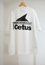 画像をギャラリービューアに読み込む, STERN SS