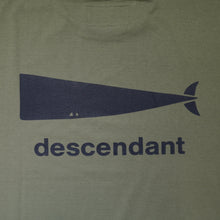 画像をギャラリービューアに読み込む, CACHALOT SS