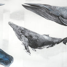 画像をギャラリービューアに読み込む, SEAFARERS TEXTILE SS SHIRT