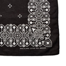 画像をギャラリービューアに読み込む, Campass Bandana