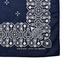 画像をギャラリービューアに読み込む, Campass Bandana