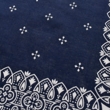 画像をギャラリービューアに読み込む, Campass Bandana