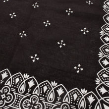 画像をギャラリービューアに読み込む, Campass Bandana