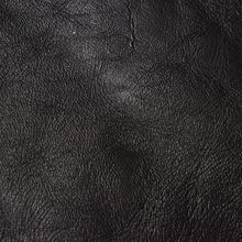 画像をギャラリービューアに読み込む, Horse Leather Car CT