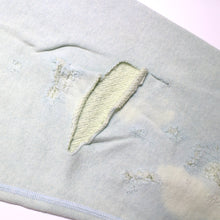 画像をギャラリービューアに読み込む, CRW N SWT/JESUS