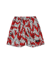 画像をギャラリービューアに読み込む, SHORTS SPLASH