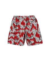 画像をギャラリービューアに読み込む, SHORTS SPLASH