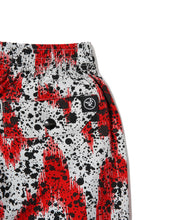 画像をギャラリービューアに読み込む, SHORTS SPLASH