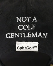 画像をギャラリービューアに読み込む, #SUEDE BB CAP