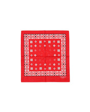 画像をギャラリービューアに読み込む, BANDANA