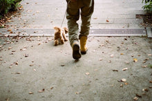 画像をギャラリービューアに読み込む, MADE IN GM JAPAN PECOS BOOTS "tiger" 2nd. LOT