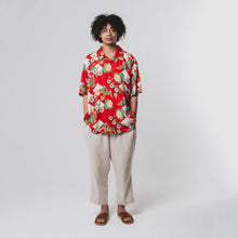 画像をギャラリービューアに読み込む, 昇龍鳳凰 RED