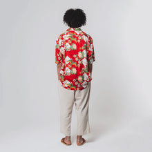 画像をギャラリービューアに読み込む, 昇龍鳳凰 RED