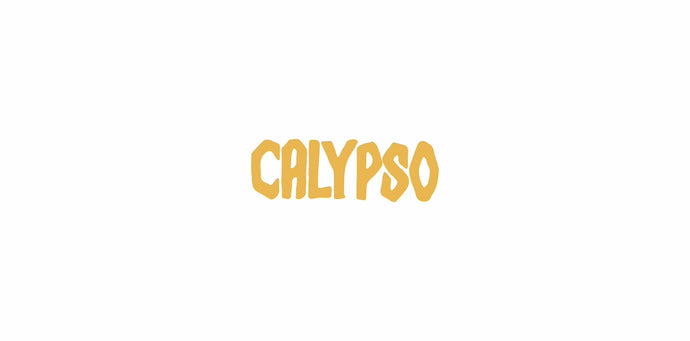 新規取扱ブランドCALYPSO 24SS START