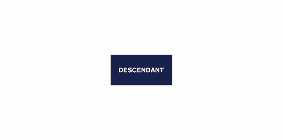 DESCENDANT 2023 Spring & Summer
