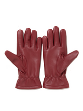 画像をギャラリービューアに読み込む, Leather Glove
