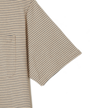 画像をギャラリービューアに読み込む, STRIPE TEE
