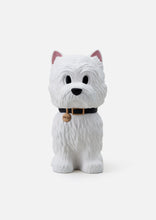 画像をギャラリービューアに読み込む, VCD WU (small)
