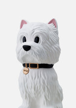 画像をギャラリービューアに読み込む, VCD WU (small)
