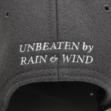 画像をギャラリービューアに読み込む, TEAM APOLLO CAP
