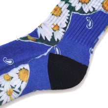 画像をギャラリービューアに読み込む, DAISY SOCKS
