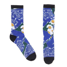 画像をギャラリービューアに読み込む, DAISY SOCKS
