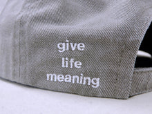画像をギャラリービューアに読み込む, HORIZON 6PANEL CAP

